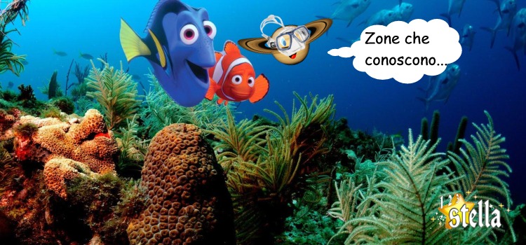 Un giro con Nemo e Dori