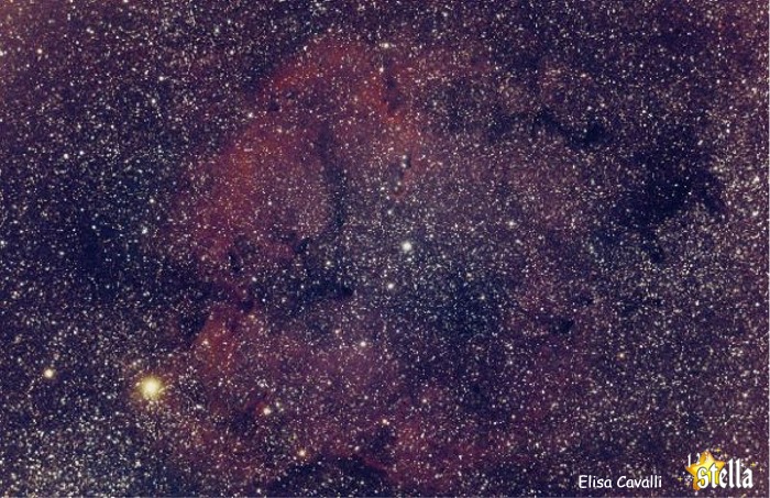 Mu Cephei e la nebulosa IC1396. Credit Elisa Cavalli